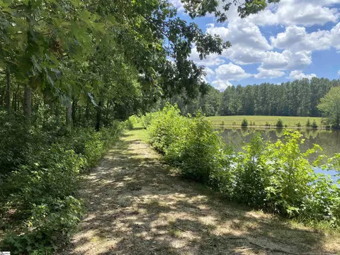 00 Snow Rd, Pelzer, SC 29669 photo 6