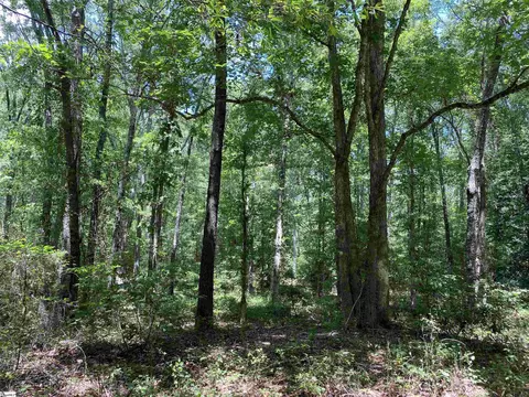 00 Snow Rd, Pelzer, SC 29669 photo 27