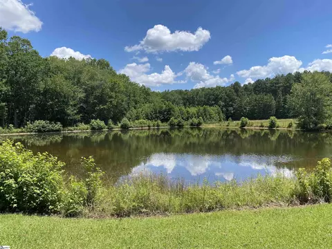 00 Snow Rd, Pelzer, SC 29669 photo 2