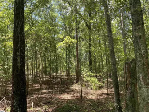 00 Snow Rd, Pelzer, SC 29669 photo 16