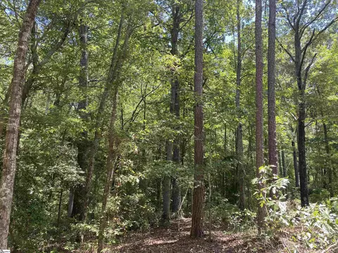 00 Snow Rd, Pelzer, SC 29669 photo 28