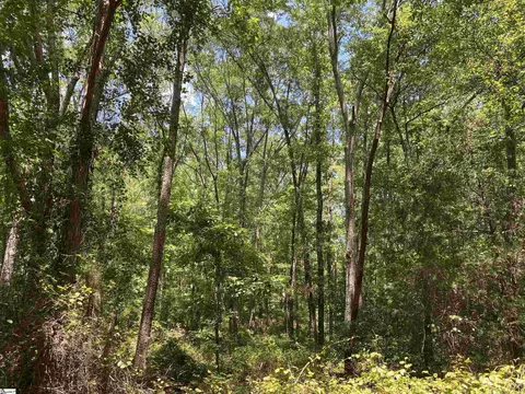 00 Snow Rd, Pelzer, SC 29669 photo 26