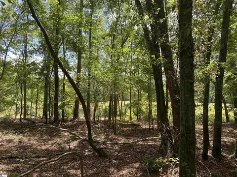 00 Snow Rd, Pelzer, SC 29669 photo 24