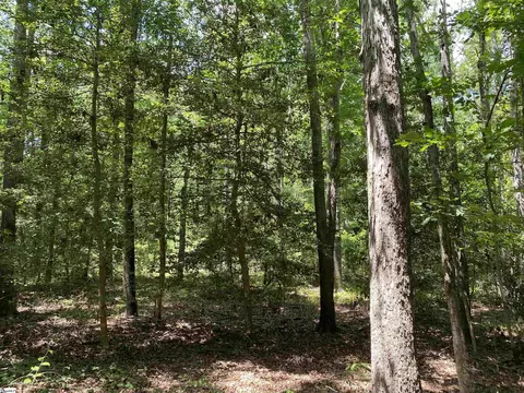 00 Snow Rd, Pelzer, SC 29669 photo 30
