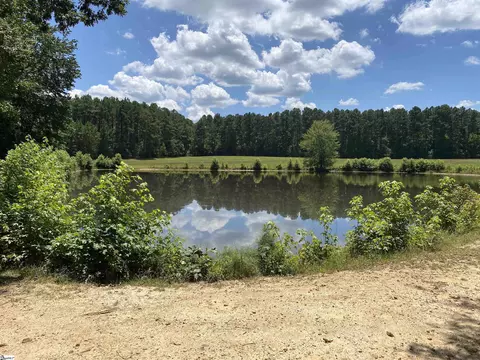 00 Snow Rd, Pelzer, SC 29669 photo 4