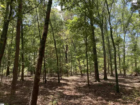 00 Snow Rd, Pelzer, SC 29669 photo 23