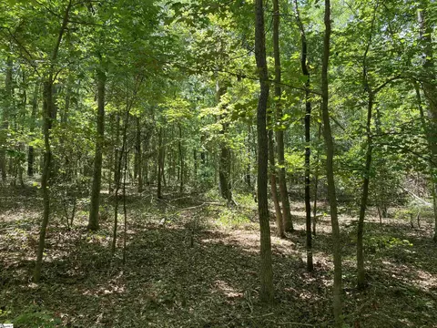 00 Snow Rd, Pelzer, SC 29669 photo 14