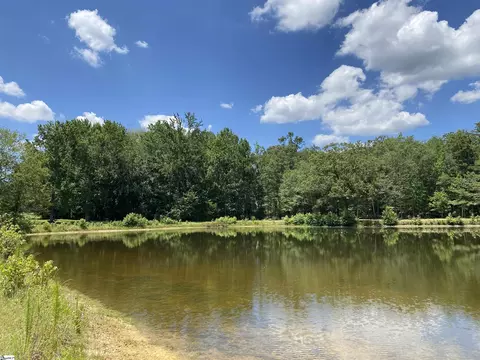 00 Snow Rd, Pelzer, SC 29669 photo 5