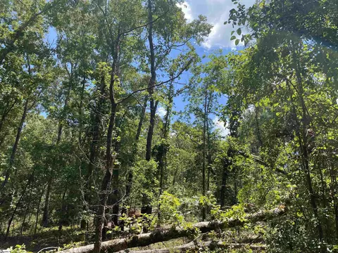 00 Snow Rd, Pelzer, SC 29669 photo 29