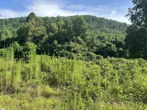 10 E Acs E Preston Mcdaniel Rd, Pickens, SC 29671 photo 2