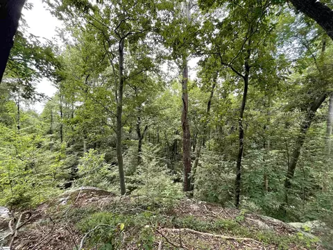 0 Pine Shadow Ln, Landrum, SC 29356 photo 3