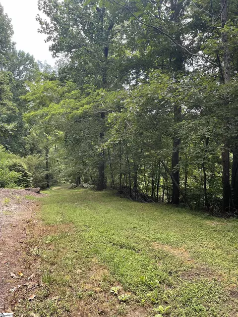 0 Pine Shadow Ln, Landrum, SC 29356 photo 9