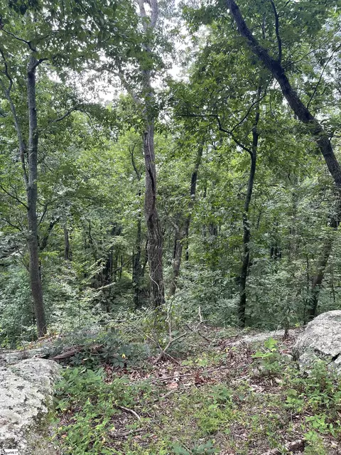 0 Pine Shadow Ln, Landrum, SC 29356 photo 8