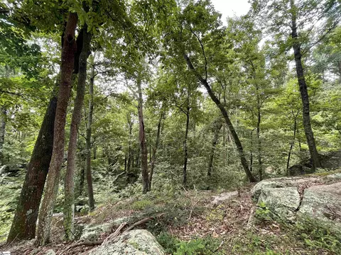 0 Pine Shadow Ln, Landrum, SC 29356