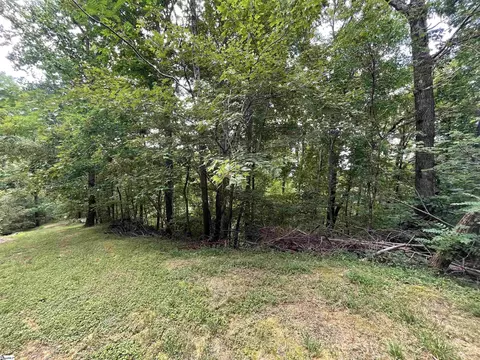 0 Pine Shadow Ln, Landrum, SC 29356 photo 6
