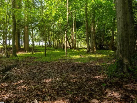 011 Holliday Dam Rd, Honea Path, SC 29654 photo 18