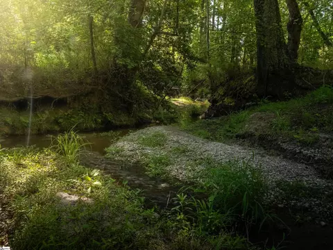011 Holliday Dam Rd, Honea Path, SC 29654 photo 4