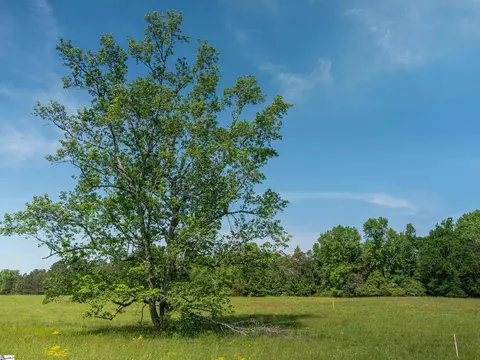 011 Holliday Dam Rd, Honea Path, SC 29654 photo 16