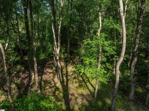 011 Holliday Dam Rd, Honea Path, SC 29654 photo 30