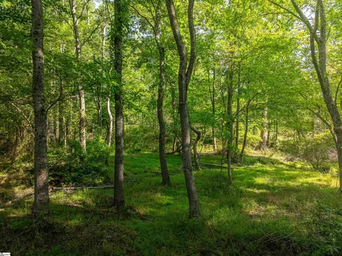 011 Holliday Dam Rd, Honea Path, SC 29654 photo 15