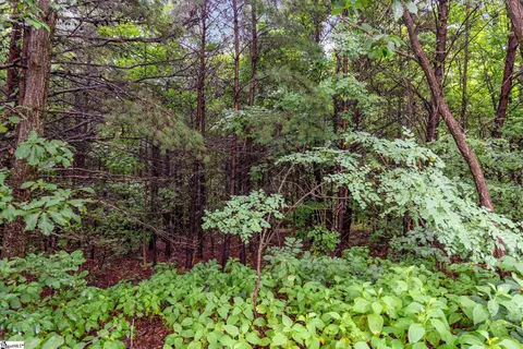 83 Eagle Rock Rd, Landrum, SC 29356 photo 7