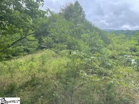 00 Cherry Hill St, Mill Spring, NC 28756 photo 8