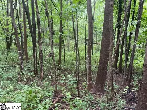 00 Cherry Hill St, Mill Spring, NC 28756 photo 6