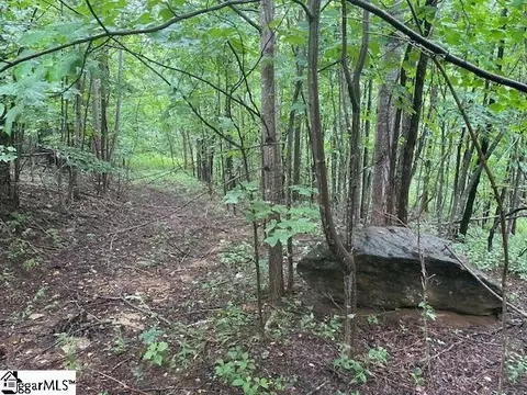 00 Cherry Hill St, Mill Spring, NC 28756 photo 3