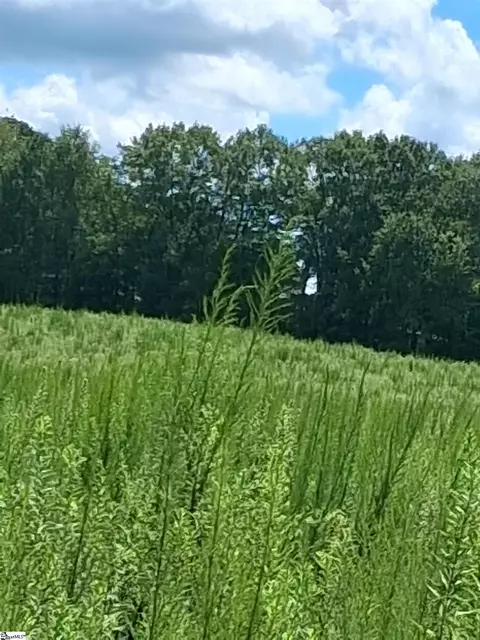 117 Iodine State Beagle Rd, Simpsonville, SC 29681