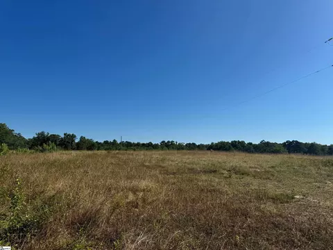 00 Mount Ariel Rd, Hodges, SC 29653