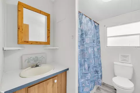 487 Neptune Dr, Waterloo, SC 29384 photo 18