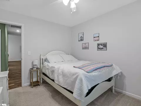 204 Freehold Way, Greer, SC 29650 photo 25