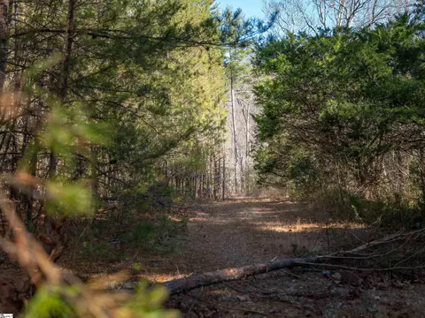 00 Pittman Rd, Landrum, SC 29356