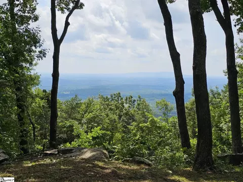 101 Southview Ledge Rd, Landrum, SC 29356