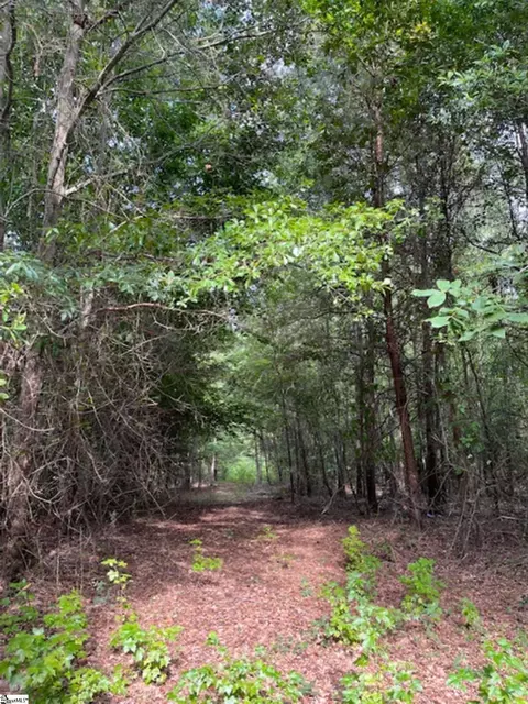69 Lamb Rd, Lyman, SC 29365 photo 6