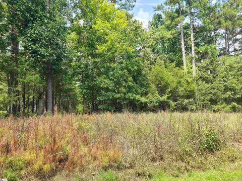 Deer Valley Road, Waterloo, SC 29384 photo 2