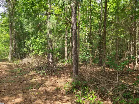 Deer Valley Road, Waterloo, SC 29384 photo 3