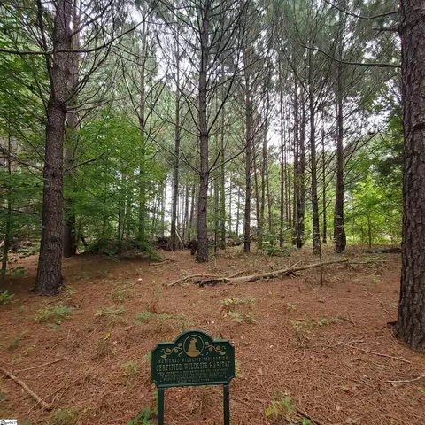 00 Easley Hwy, Pelzer, SC 29669