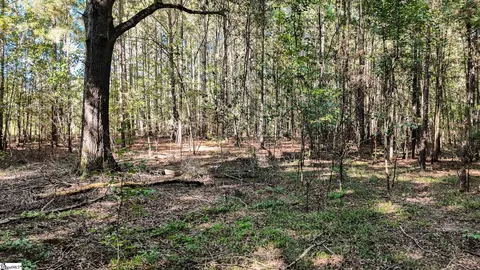 038 Crowder Rd # -B, Kinards, SC 29355 photo 4