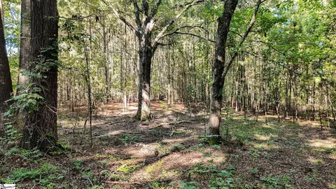 038 Crowder Rd # -B, Kinards, SC 29355 photo 11