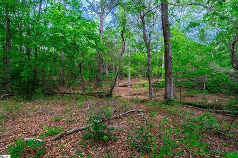 00 Watt Rogers Rd, Pelzer, SC 29669