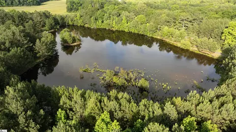 038 Crowder Rd, Kinards, SC 29355 photo 3