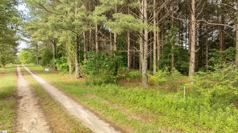 038 Crowder Rd, Kinards, SC 29355 photo 4
