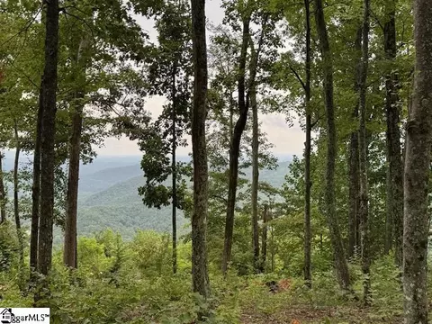 1534 Panther Park Trl, Travelers Rest, SC 29690