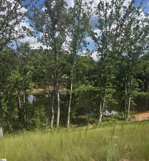 View/Area - 101 Arbor View Ln, Central, SC 29630 photo 1 of 1