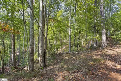 142 Summit Pne, Sunset, SC 29685 photo 6