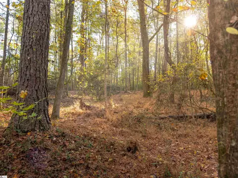 00 Dice Miller Rd, Moore, SC 29369 photo 9