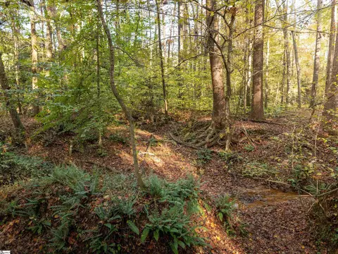 00 Dice Miller Rd, Moore, SC 29369 photo 17
