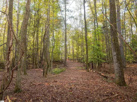 00 Dice Miller Rd, Moore, SC 29369 photo 7