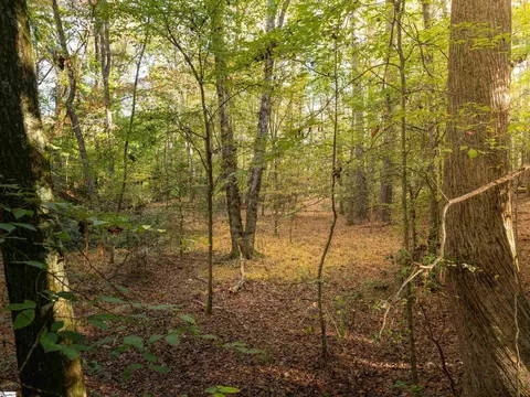 00 Dice Miller Rd, Moore, SC 29369 photo 24